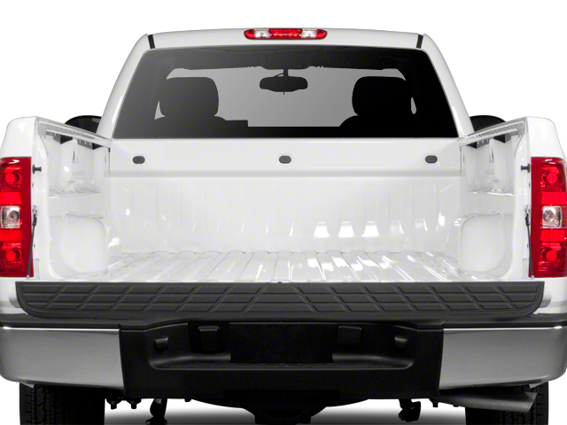 2010 Chevrolet Silverado 1500 Work Truck